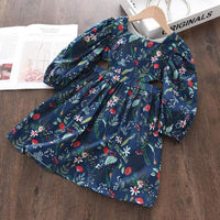 Girls Embroidery Long Sleeve Dress