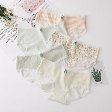 Girls Cotton Briefs 5PCS/LOT