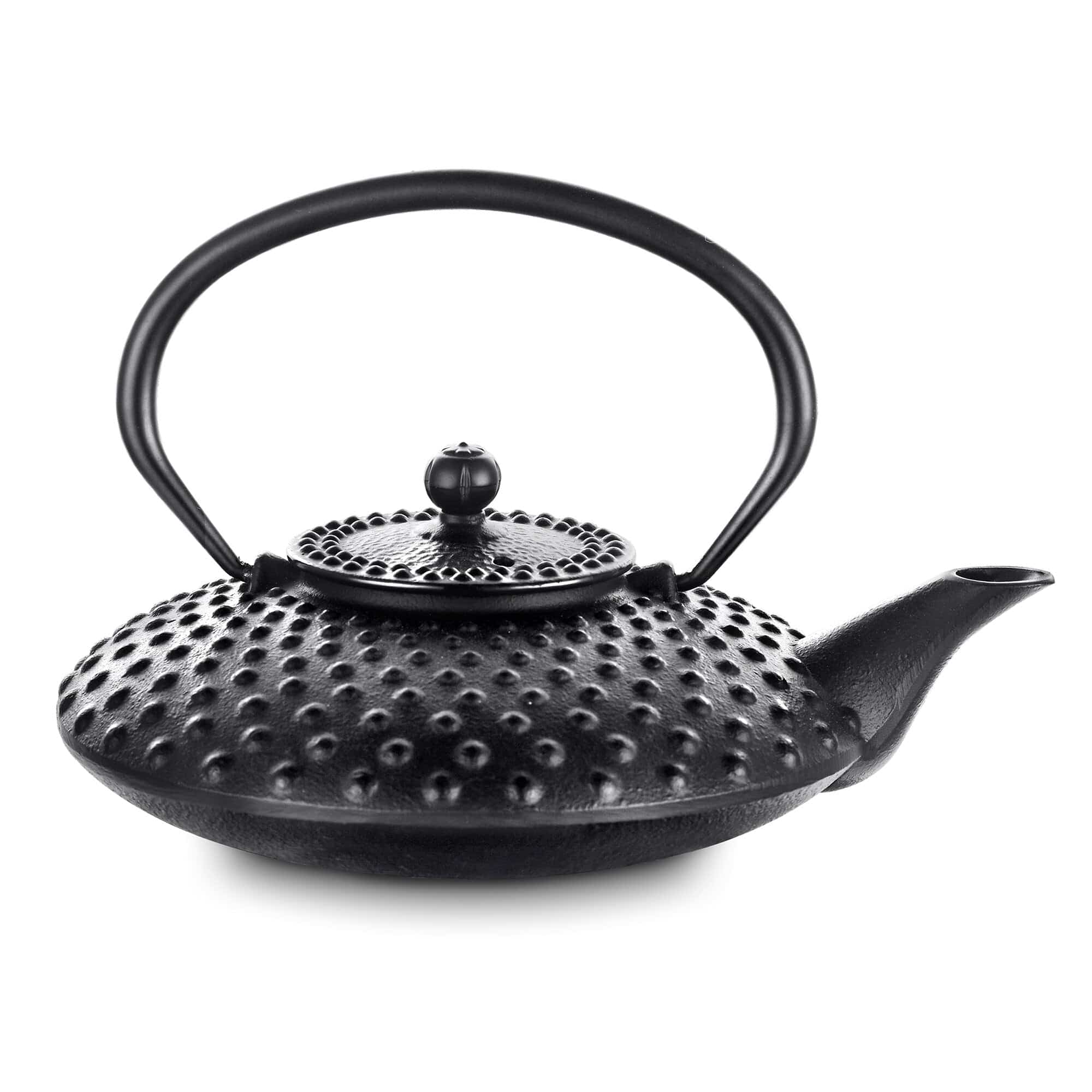 Japanese Style 800ML Durable Cast Iron Teapot Set