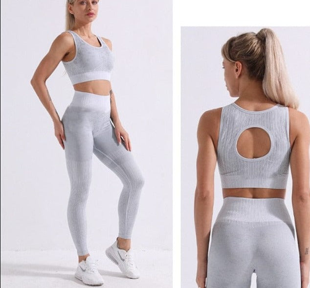 Seamless Two Piece Gym Outfit