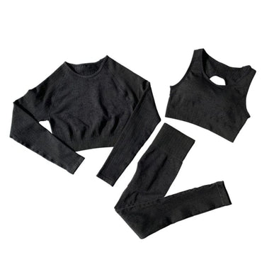 Seamless Two Piece Gym Outfit