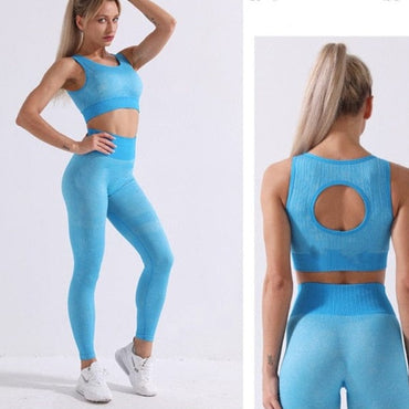 Seamless Two Piece Gym Outfit