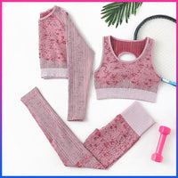 Seamless Two Piece Gym Outfit