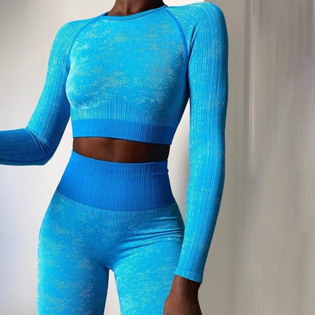 Seamless Two Piece Gym Outfit