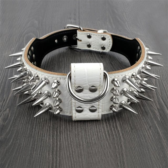 Spike Studded Dog Collar